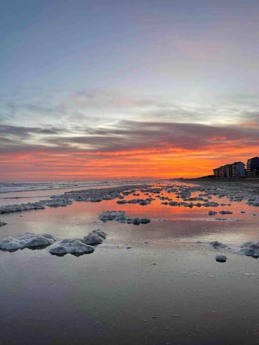 Face A La Mer, Appartement Rdc Bray Dunes Exterior foto