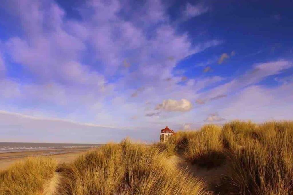 Face A La Mer, Appartement Rdc Bray Dunes Exterior foto